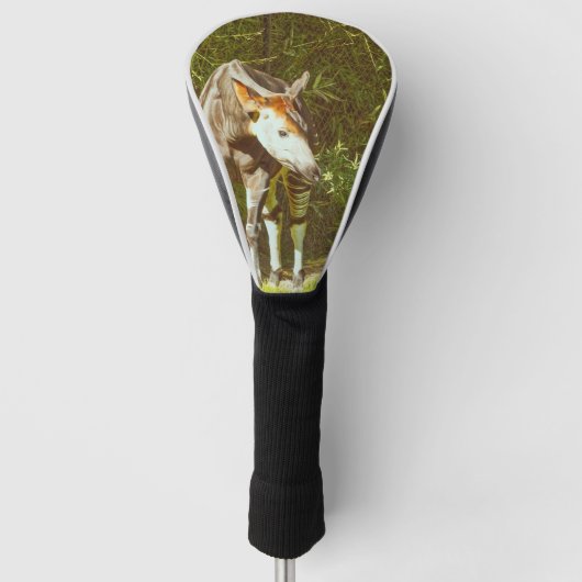 Couvre-club De Golf okapi (Devant)