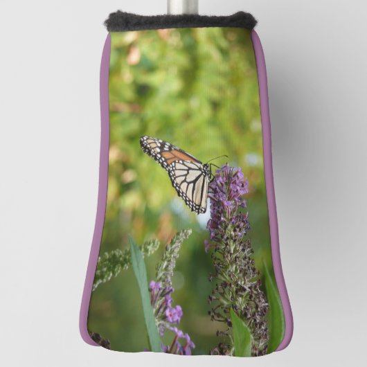 Couvre-club De Golf Papillon Monarque sur papillon pourpre Bush (Tourné à 90°)