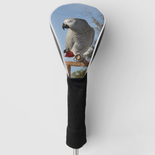 Couvre-club De Golf Perroquet renversant de gris africain