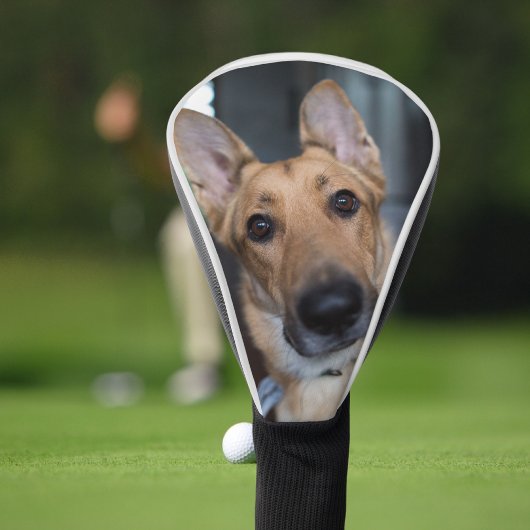 Couvre-club De Golf Personalized Dog Photo