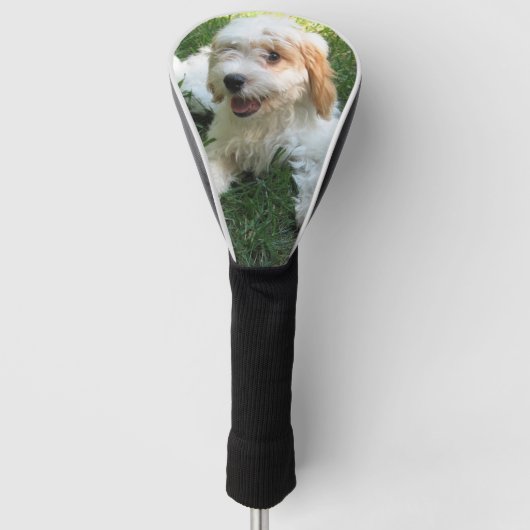 Couvre-club De Golf Photo Cavachon customisée, Chien (Devant)