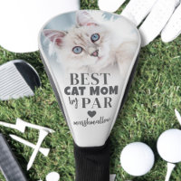 Photo de Maman Chatte
