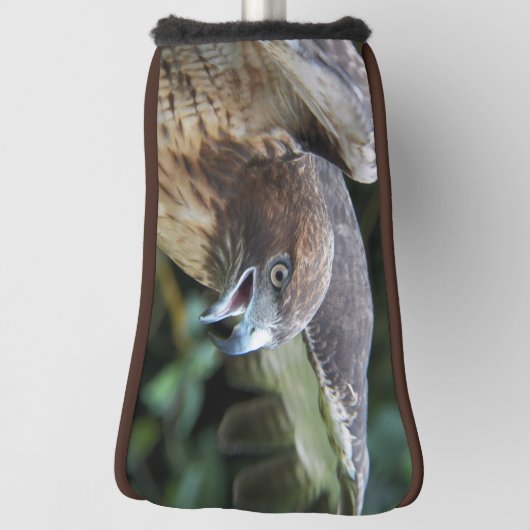 Couvre-club De Golf Photo Raptor Hawk à queue rouge (Tourné à 90°)