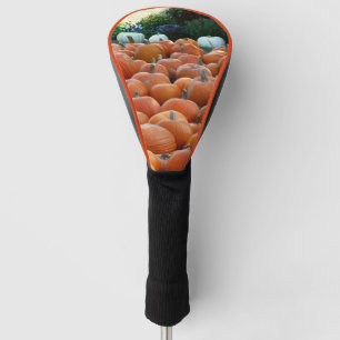 Couvre-club De Golf Photographie de récolte d'automne des citrouilles 