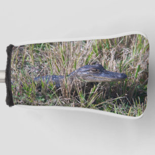 Couvre-club De Golf Photographie d'un bébé alligator dans l'herbe des