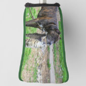 Couvre-club De Golf Pit Bull et Cat (Tourné à 90°)