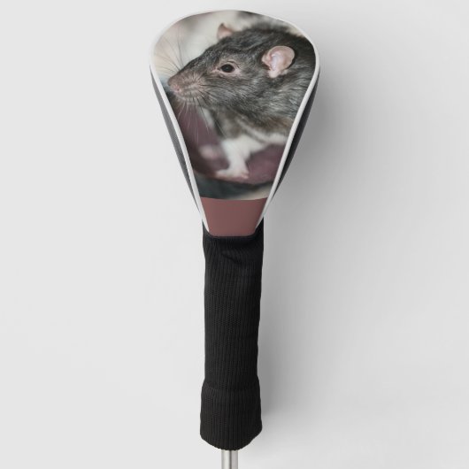 Couvre-club De Golf Rat (Devant)