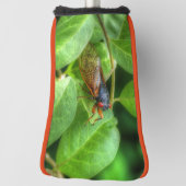 Couvre-club De Golf Red Eyed Cicada (Tourné à 90°)