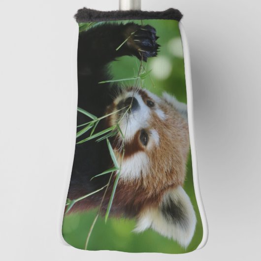 Couvre-club De Golf RedPanda 002 (Tourné à 90°)