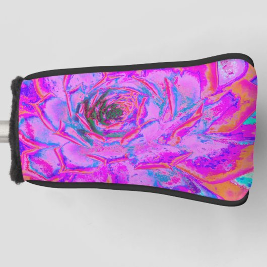 Couvre-club De Golf Rosette Succulente pourpre et magenta (Devant)