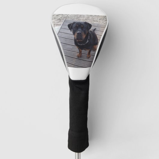 Couvre-club De Golf rottweiler à la plage (Devant)