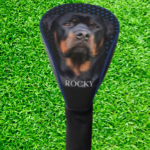 Rottweiler Bleu