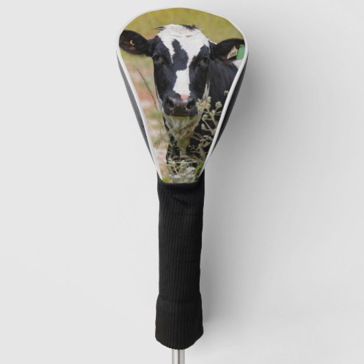 Couvre-club De Golf Sainte vache ! C'est un Holstein Friesian ! (Devant)