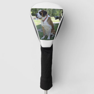 Couvre-club De Golf séance de st bernard 2