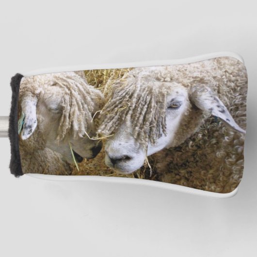 COUVRE-CLUB DE GOLF SHEEP (Devant)