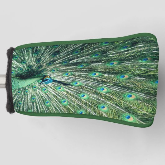 Couvre-club De Golf Strut Peacock (Devant)