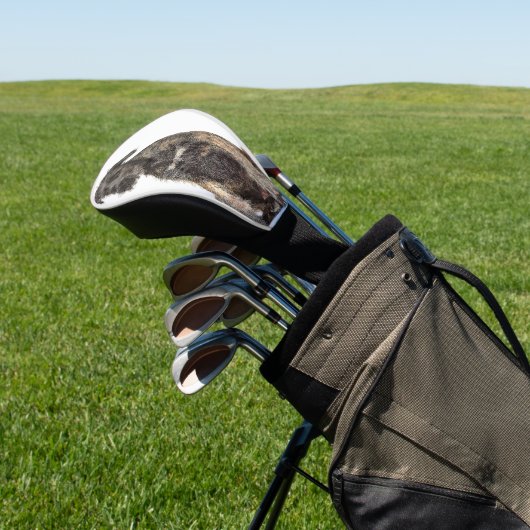 Couvre-club De Golf Super Cool Irlandais Wolfhound Dog (In Situ)