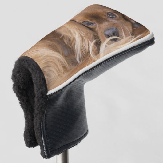 Couvre-club De Golf Sweet Ruby Cavalier King Charles Spaniel (Devant 3/4)