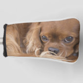 Couvre-club De Golf Sweet Ruby Cavalier King Charles Spaniel (Devant)