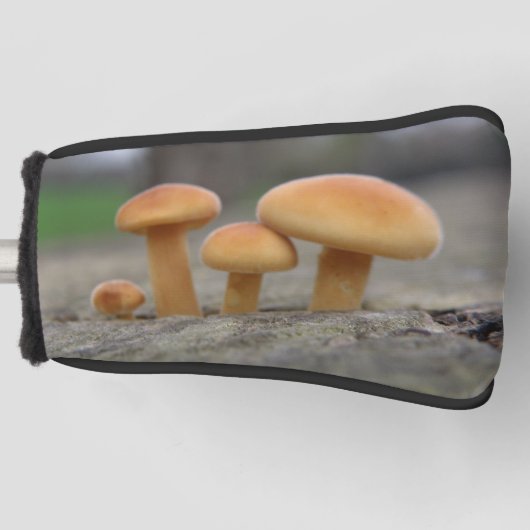 Couvre-club De Golf Tabourets Toadstools Macro Golf Putter Cover (Devant)