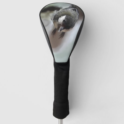 Couvre-club De Golf Tidi my Bird le Parus Major (Devant)