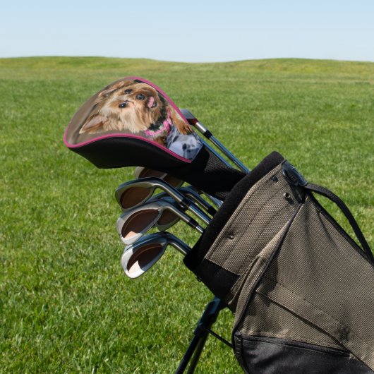 Couvre-club De Golf Tiny Dynamo Golf Head Cover (In Situ)