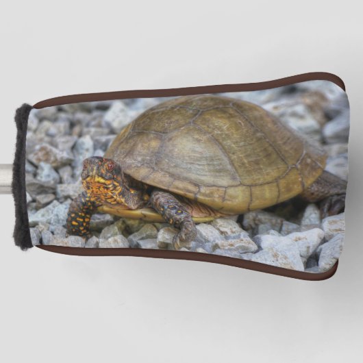 Couvre-club De Golf Tortue (Devant)