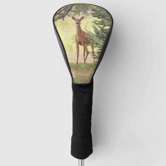 Couvre-club De Golf Un cerf solitaire (Devant)