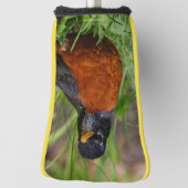 Couvre-club De Golf Un étrange Robin Américain dans l'herbe (Tourné à 90°)