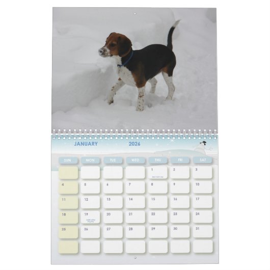 cover, Beagle Calendar Kalender (Jan 2026)