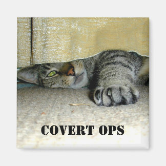 Covert ops magneet