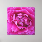 Coveted Rose Stretched Canvas Print (Voorkant)