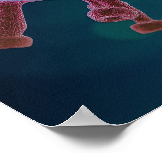 Covid Virus Biology Poster (Hoek)