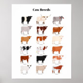 cow breeds poster (Devant)