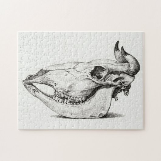 Cow skull by Jean Bernard Legpuzzel (Horizontaal)