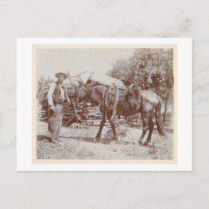  Cowboy 1900 Briefkaart