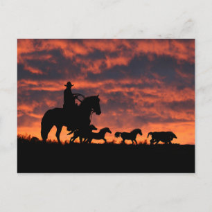 Cowboy and Wild Horses Roundup Briefkaart