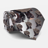 Cowboy Boots en Pet Stropdas (Opgerold)