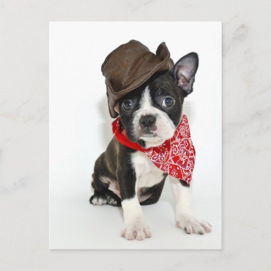 Cowboy Boston Briefkaart (Voorkant)