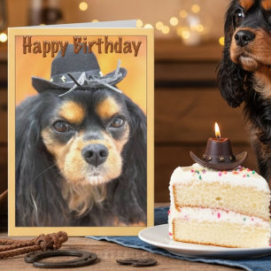 Cowboy Cavalier King Charles Spaniel Verjaardag Kaart