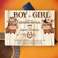 Cowboy cowgirl sekse onthult feest leuk baby paard