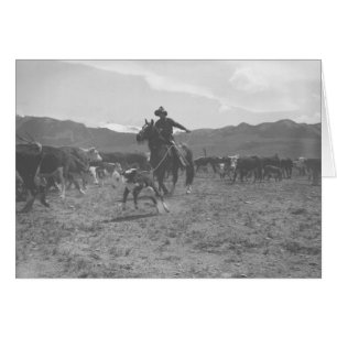 Cowboy die een kalf voor het merken van lente roei