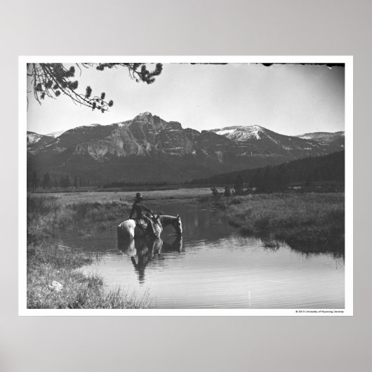 Cowboy en paard in een vijver poster (Voorkant)