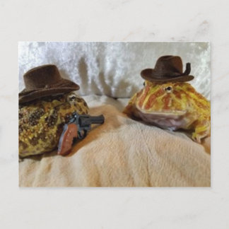 Cowboy Frogs Briefkaart