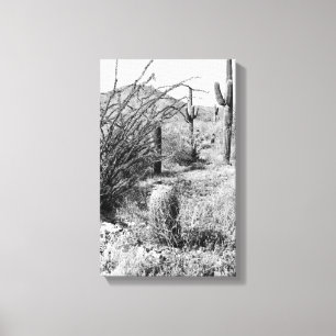Cowboy Garden Canvas (AZ Sonoran-woestijn) Afdruk