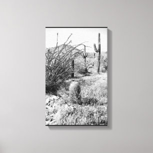 Cowboy Garden Canvas (AZ Sonoran-woestijn) Afdruk