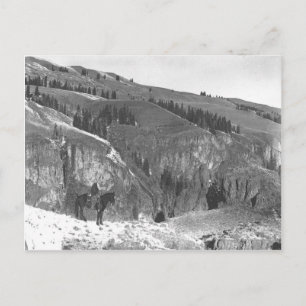 Cowboy gescheiden van zijn kudde. briefkaart