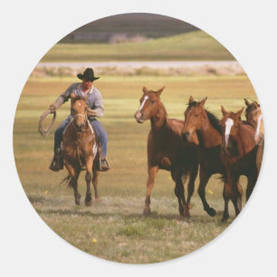 Cowboy Herding bij Ranch Ronde Sticker