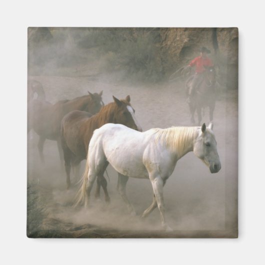 Cowboy Herding Magneet (Voorkant)