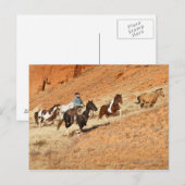 Cowboy-herstellingpaarden Briefkaart (Voorkant / Achterkant)